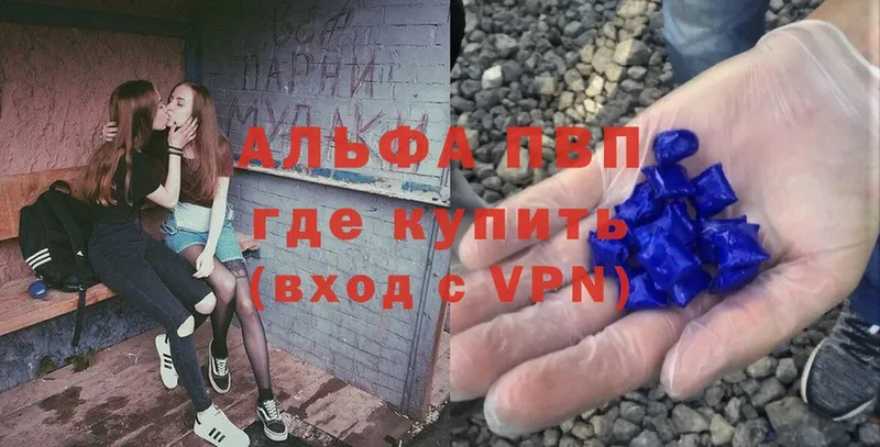 A PVP СК КРИС Благодарный